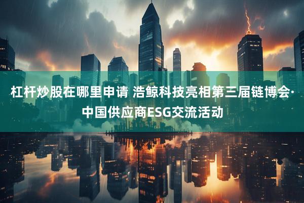 杠杆炒股在哪里申请 浩鲸科技亮相第三届链博会·中国供应商ESG交流活动