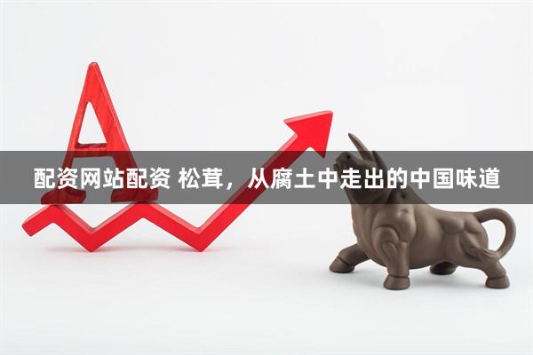 配资网站配资 松茸，从腐土中走出的中国味道